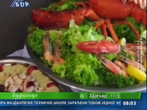 Budilica gostovanje (dr Snežana Čučović), 04. januar 2016. (RTV Bor)