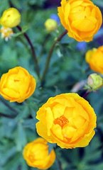 BET365 우회주소ゎ Supercar123.Com 가입코드7171