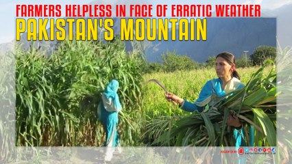 Pakistan's Mountain Farmers Helpless In Face Of Erratic Weather
