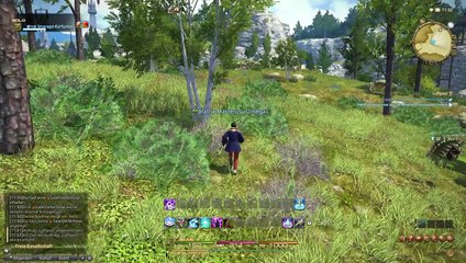 Let's Play Final Fantasy XIV a Realm Reborn (German) Part 7 - Die Schiffsbauer