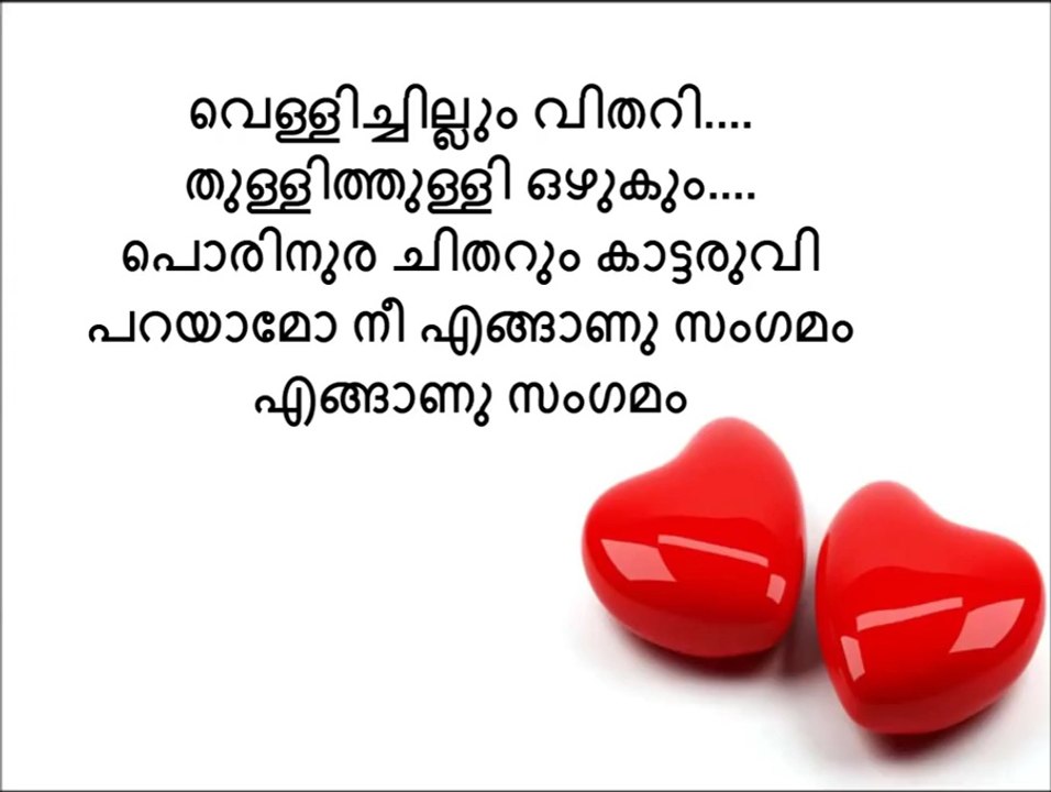 Vellichillum Vithari Karaoke with lyrics
