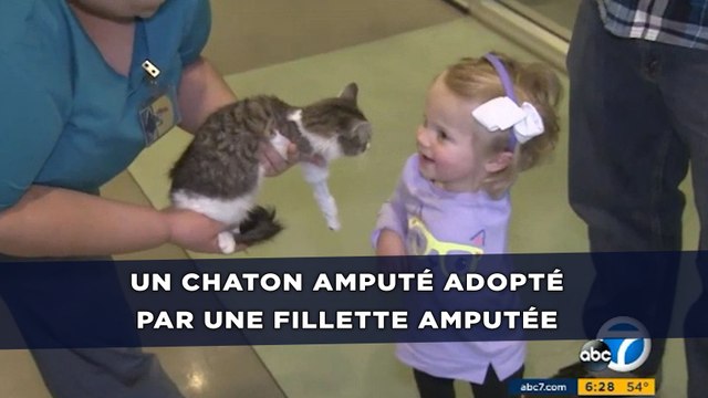Un chaton amputé adopté par une fille de deux ans amputée d'un bras