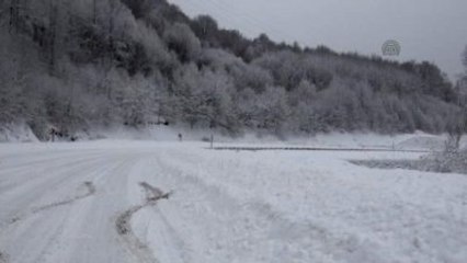 Longoz Ormanları'nda Görsel Şölen