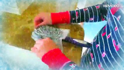 Svakog jutra stavlja maramicu na četku. Kada joj vidite kosu, sve će vam biti jasno!