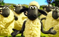 shaun the sheep Cock-A-Doodle Shaun