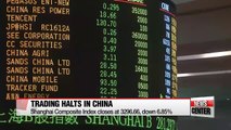 Trading halts in China after shares plunge 7%