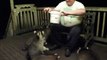 Man Feeds a Gang of Obese Raccoons