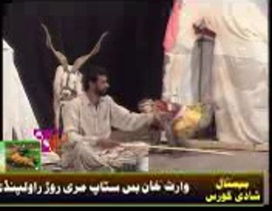 fun funy MONKEY AND BAKRA