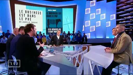 Morandini Zap : Echange tendu entre Stéphane Le Foll et le journaliste Augustin Trapenard dans "Le Grand Journal"