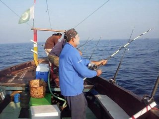 Salt water fishing: Video of 3 mack out of 7 on taru , 3rd Jan'15