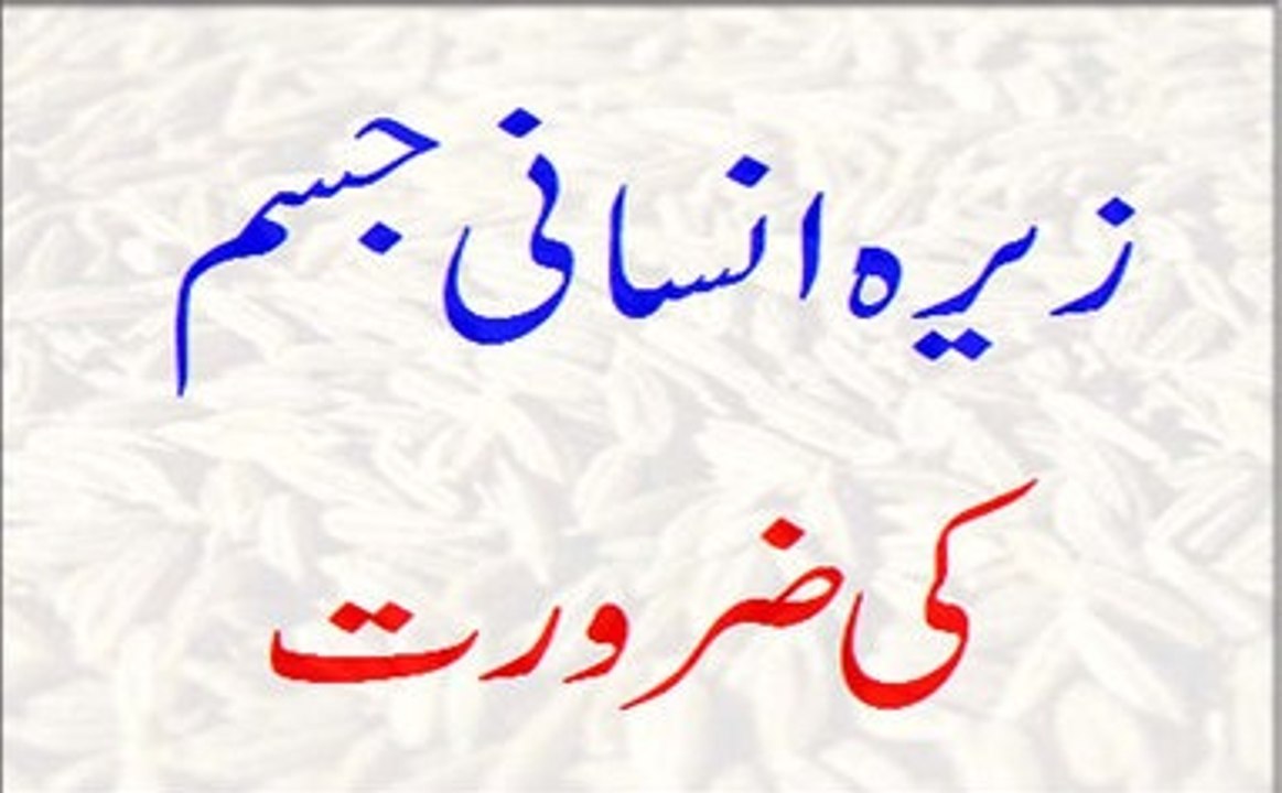 زیرہ انسانی جسم کی ضرورت