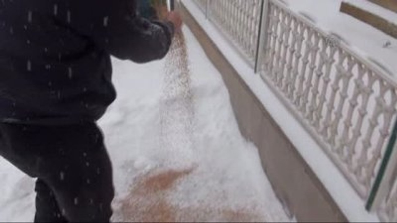 Yozgat'ta Kar Yağışı - Aç Kalan Güvercinleri Esnaf Besliyor