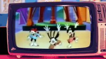 ANIMANIACS - Videosigle cartoni animati in HD (sigla iniziale) (720p)