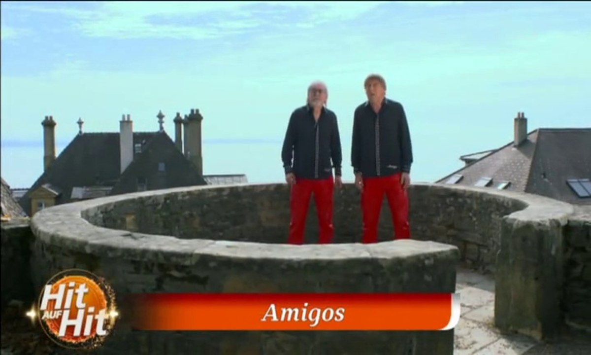 Amigos - Sommerträume 2014