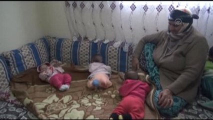 Siverekli Üçüzler Yardım Bekliyor