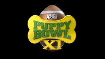 Inside Out Official Puppy Bowl TV Spot (2015) - Disney Pixar Movie HD , 2016 , Online free movies