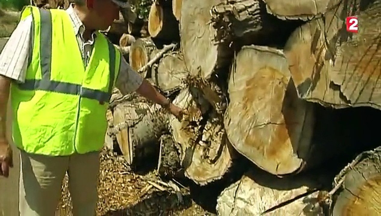 Energie renouvelable : le chauffage au bois revient à la mode