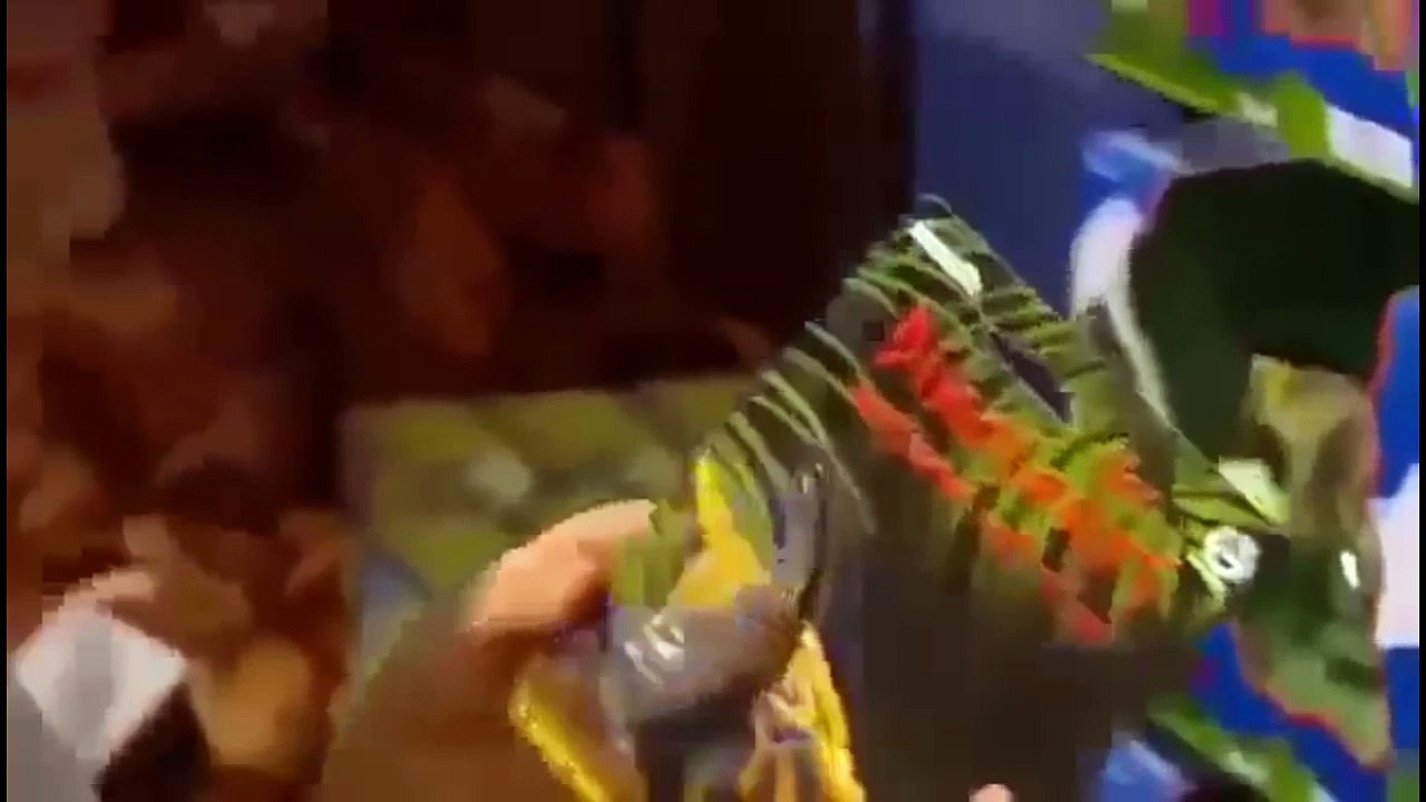 Dinosaurs Documentary : Trex vs Triceratops Part 1,2 FULL Discovery Documentary Part 2