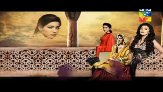 Mera Dard Na Jany Koi Episode 47 Full HUM TV Drama 04 Jan 2016