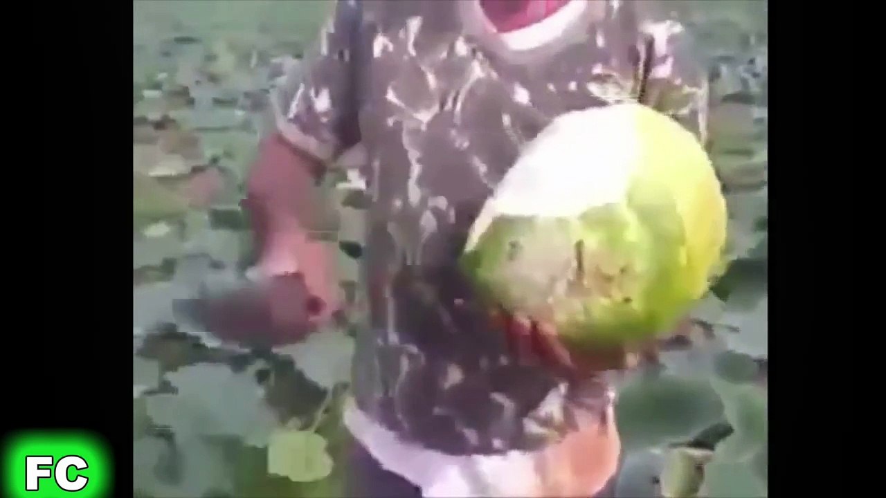 Crazy Clips & Epic FAILS ★ October 2015 Compilation ★ FailCity