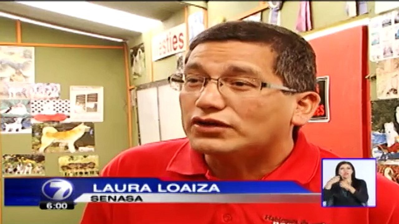 Dueños de perros son los culpables de ataques a niños, dicen expertos