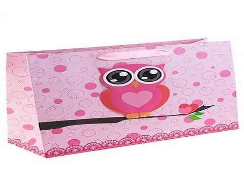 Четкий подарок на именины - Пакет подарочный Сова в г. Магнитогорск