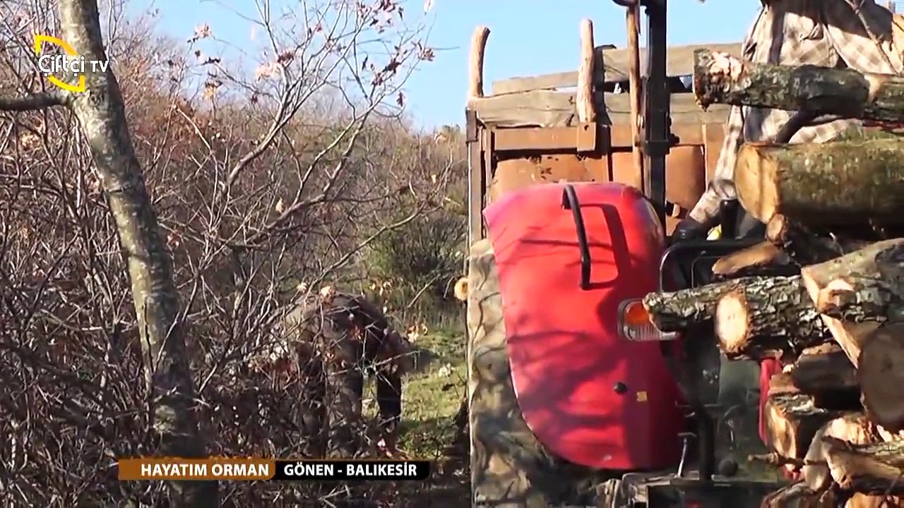 HAYATIM ORMAN-3 KALBURCU KÖYÜNOrman Kesimi-GönenBALIKESİR