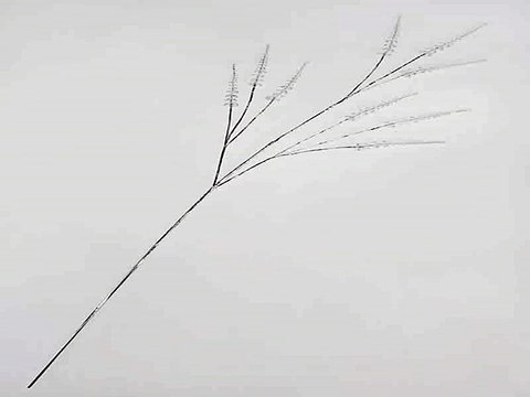 Приличный подарок на все случаи жизни - Украшение для интерьера Листочки в г. Ульяновск