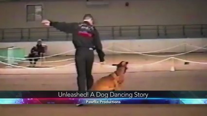 What is Unleashed: A Dog Dancing Story?