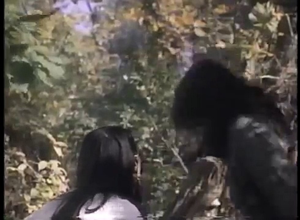 The Broken Chain (1993)