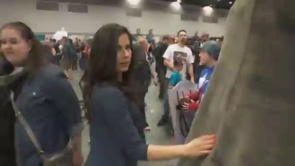 What Went Down at Fan Expo Vancouver 2014?