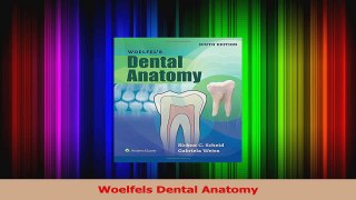 PDF Download  Woelfels Dental Anatomy Read Full Ebook