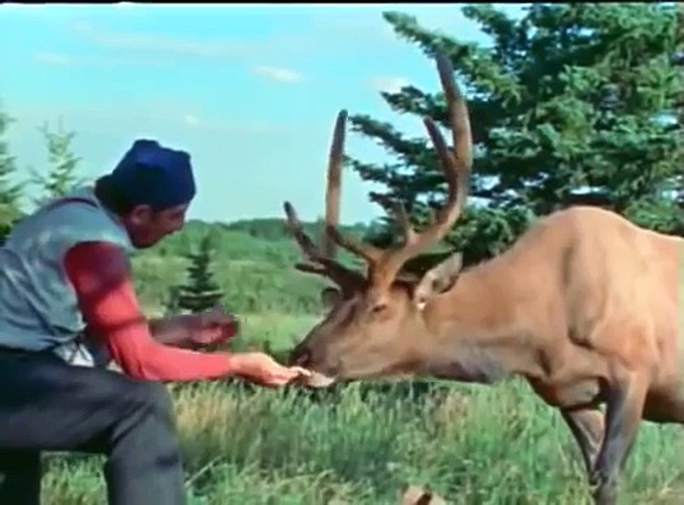 Challenge to Be Free (1975)