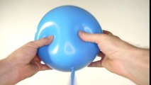 Harvey Beaks | Learn How to Make a Harvey Beaks Balloon! |
