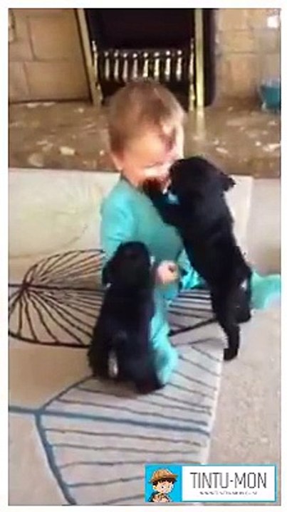 Tintu-Mon---Cuties- BABY PLAY WITH CATS SO FUNNY