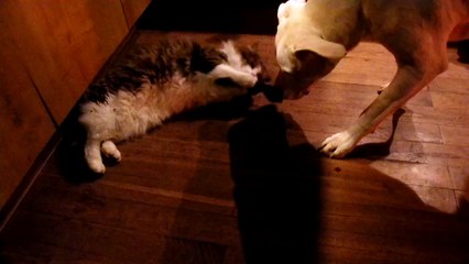 vlc-record-2016-01-04-20h07m21s-SAM_0236.MP4-