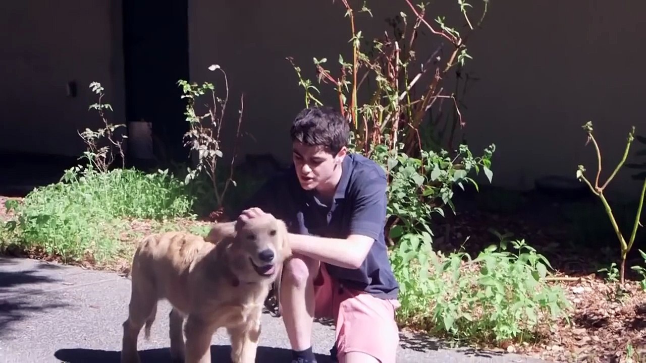 PICKING UP GIRLS WITH A PUPPY!