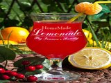 Купил отличный подарок на день рождения - Бокал для коктейля Homemade Lemonade в г. Оренбург