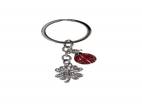 Ура Купил себе отличный подарок на именины - Брелок Счастливый клевер и божья коровка в г. Владивосток