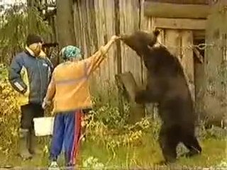 Ayıyla oyun olmaz !!