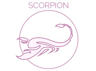 Exclu Vidéo : SCORPION : Il faudra garder votre self-control !