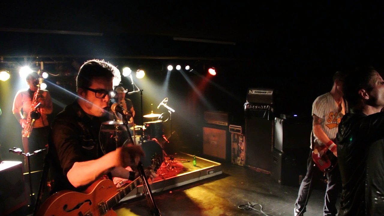 Washington Dead Cats