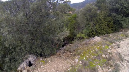 Chasse au sanglier. Puechabon 2015. A gauche, a droite, entre les voitures...