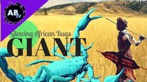 Giant Glowing African Bugs : 5 Weird Animal Facts : AnimalBytesTV