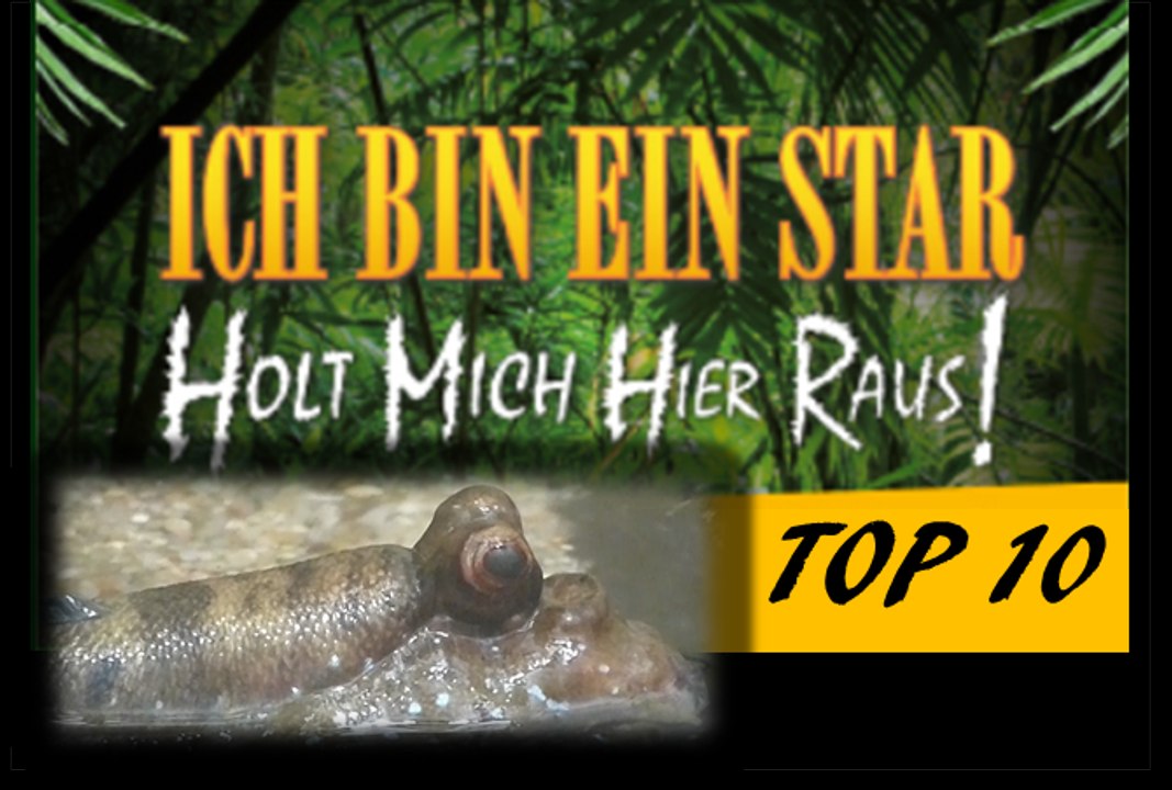 Top 10 der schlimmsten Dschungelprüfungen