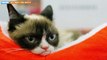 Grumpy Cat Movie Trailer Makes Even Grinches Love Christmas