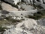 Caro mange le gravier dans les calanques de Marseille