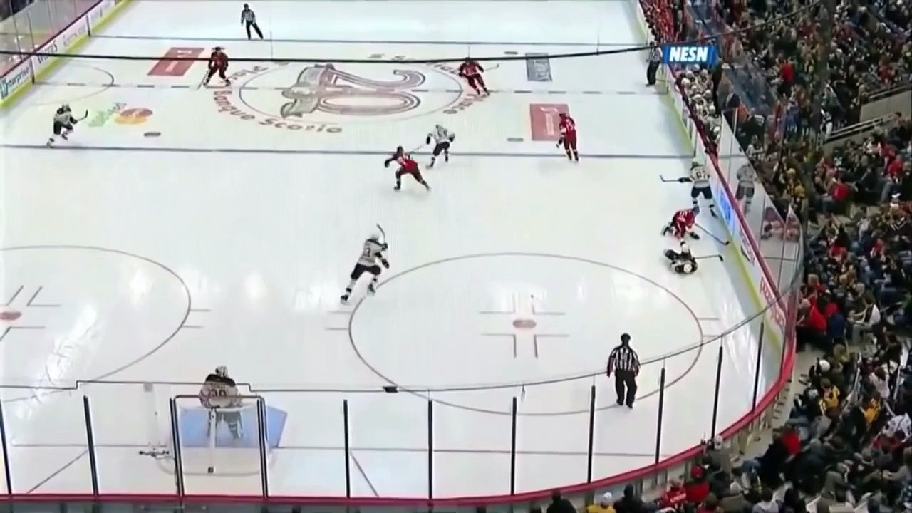 Big NHL Hits_21