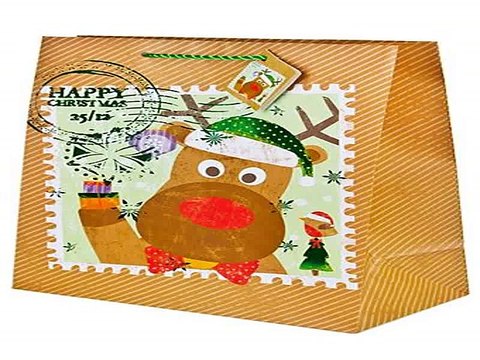 Купил отличный подарок на день рождения - Пакет подарочный новогодний Забавный олень в г. Рязань