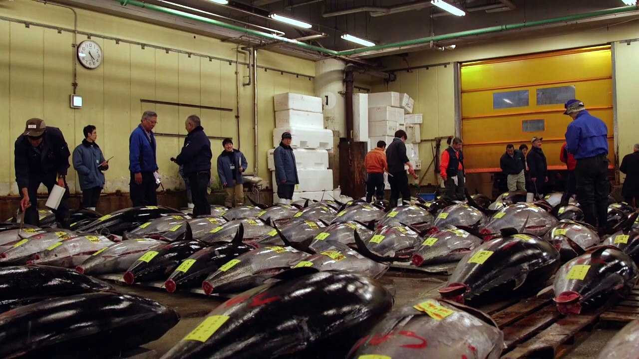 100.000 Euro für einen Thunfisch